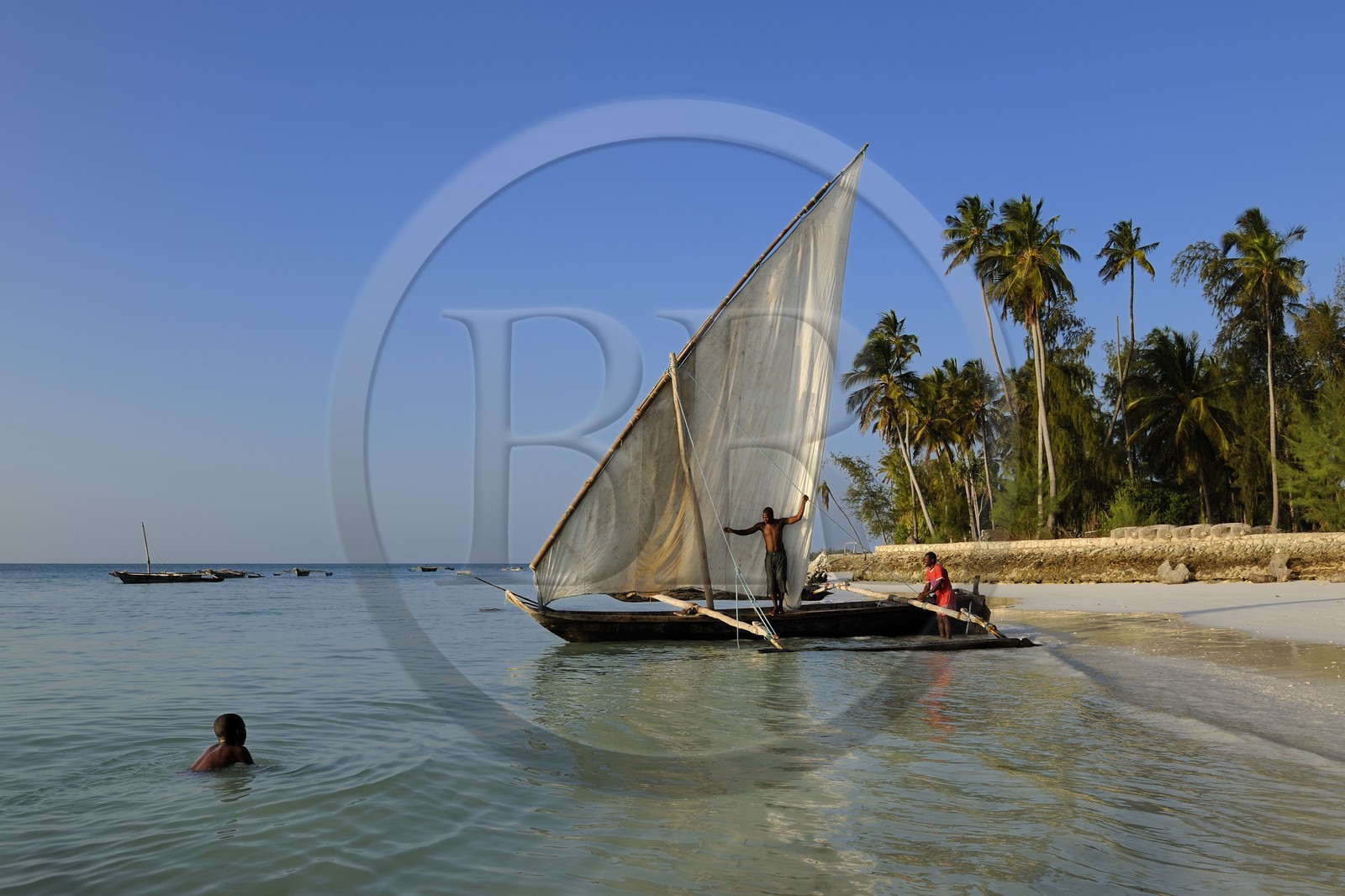 Tanzanie, archipel de Zanzibar, île de Unguja (Zanzibar), côte est, baie de Chwaka vers Michamvi, départ pour la pêche d'un dhow (boutre traditionnel)