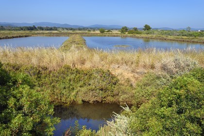 France, Var, Hyeres, Conservatoire du Littoral, the Vieux Salins (former salt marshes)