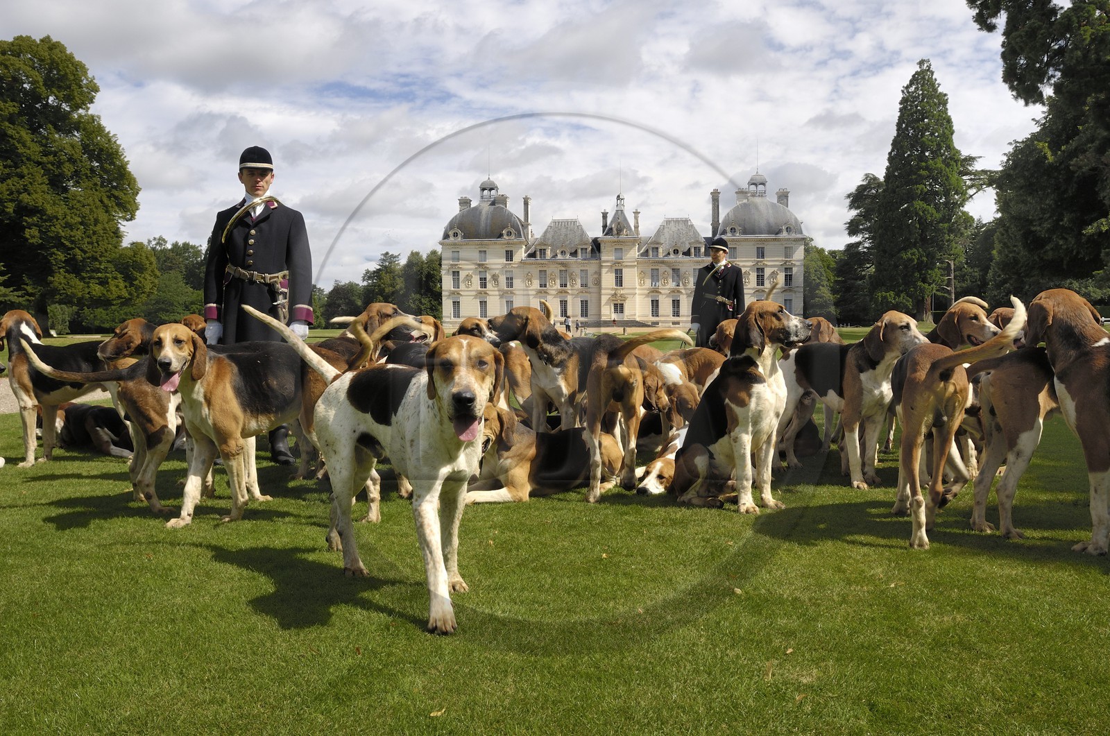 France, Loir-et-Cher (41), château de Cheverny, les piqueux Vol au Vent et La Rosée qui gèrent la meute de 90 chiens de chasse à cour
