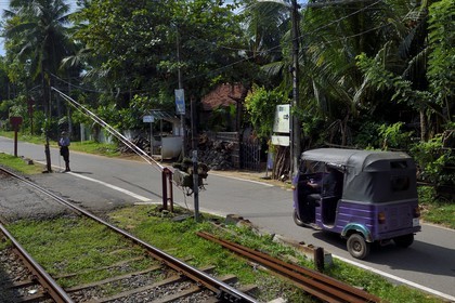Sri Lanka, Province de l'Ouest, train de Colombo à Galle, passage à niveau manuel vers Panadura