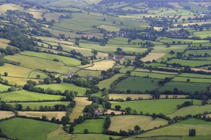 Royaume-Uni, Angleterre, Dorset, champs et bocages dans la région de Honiton (vue aérienne)