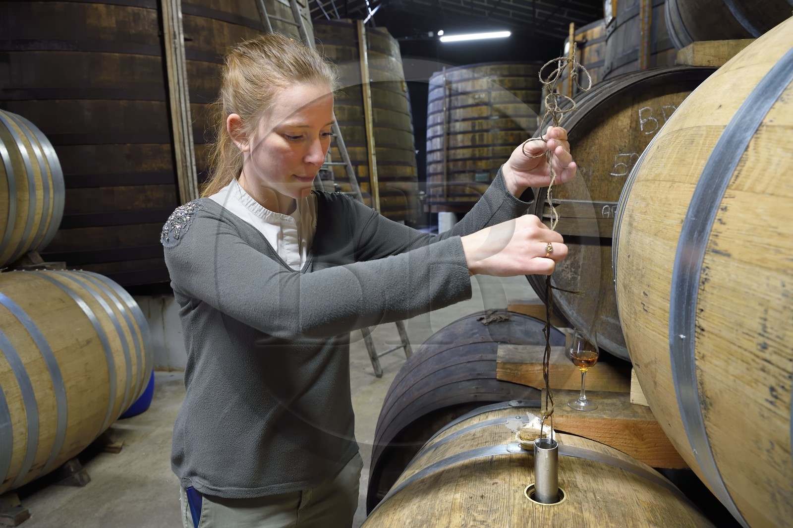 France, Charente (16), Sireuil, Distillerie des Moisans, dans les chais de vieillissement et d'assemblages, Laurette Didière fait une prise d'échantillon sur une cuvée 2018 avec une topette