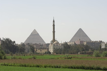 Egypte, Le Caire, Pyramides de Giza (Gizeh) et champs du bord du Nil