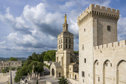 France, Vaucluse, Avignon, the Doms Cathedral and the Palais des Papes (Palace of the Popes) listed as World heritage by UNESCO
