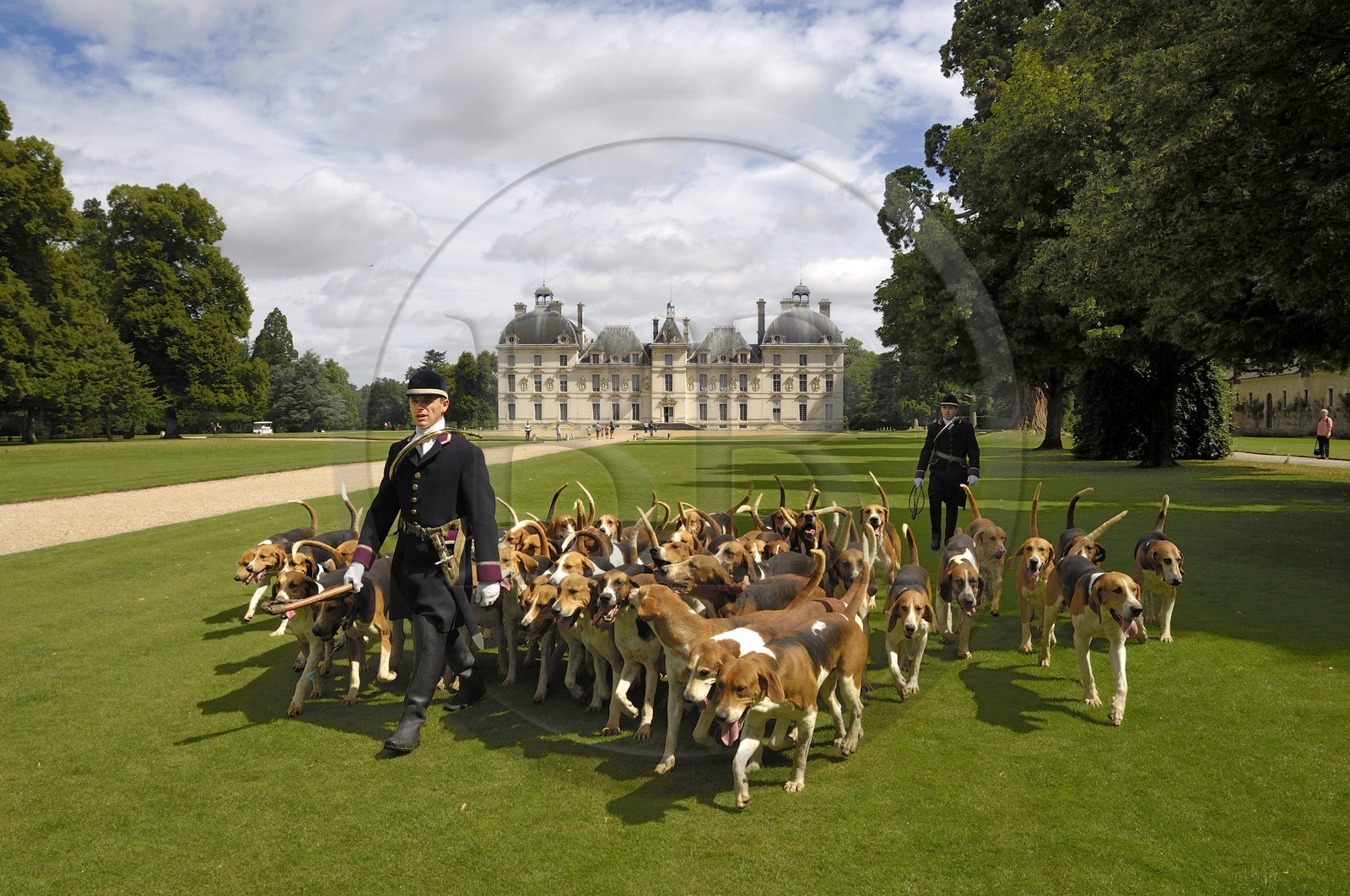 France, Loir-et-Cher (41), château de Cheverny, les piqueux Vol au Vent et La Rosée qui gèrent la meute de 90 chiens de chasse à cour