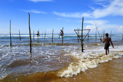 Sri Lanka, Southern Province, Galle district, Midigama beach, Pole Fishermen or Stilt Fishermen ply their trade along the Galle coastline