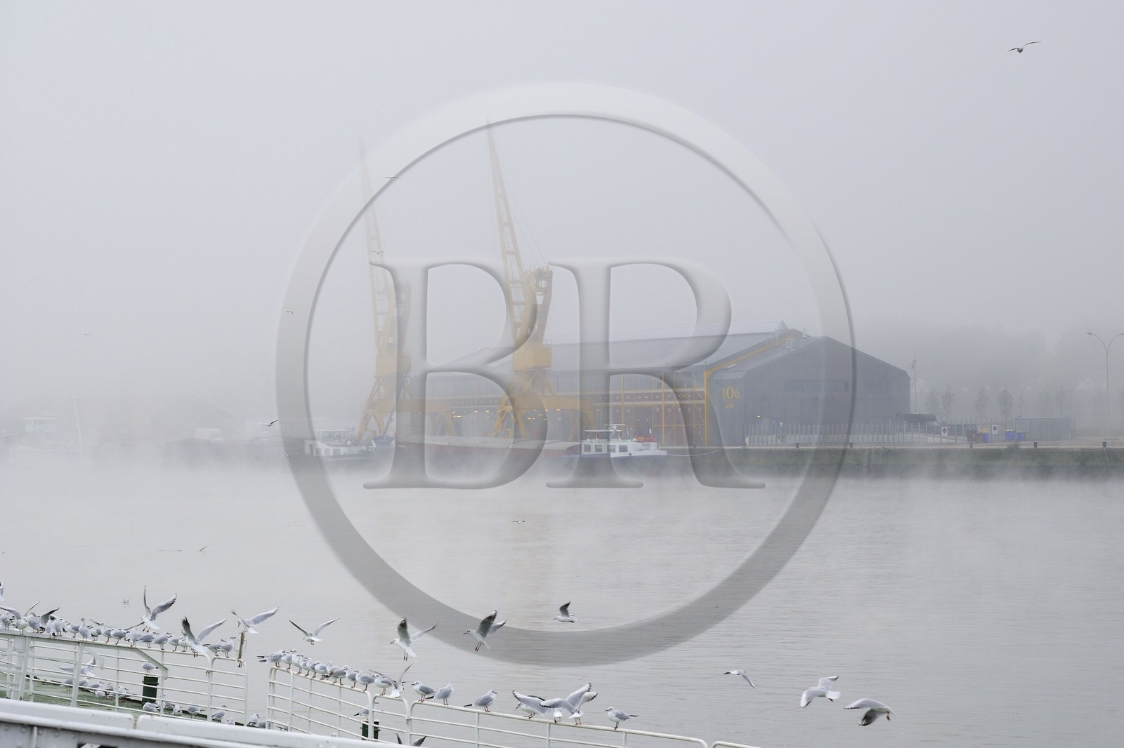 France, Seine-Maritime (76), Rouen, les anciens docks sur les quais de Seine, les grues par temps de brouillard