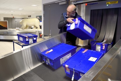 Norway, Svalbard, Spitzbergen, Longyearbyen, Svalbard Global Seed Vault (Seed Bank), arrival and scanning of seeds at the airport baggage claim area performed by NordGen, a polar bear in the background