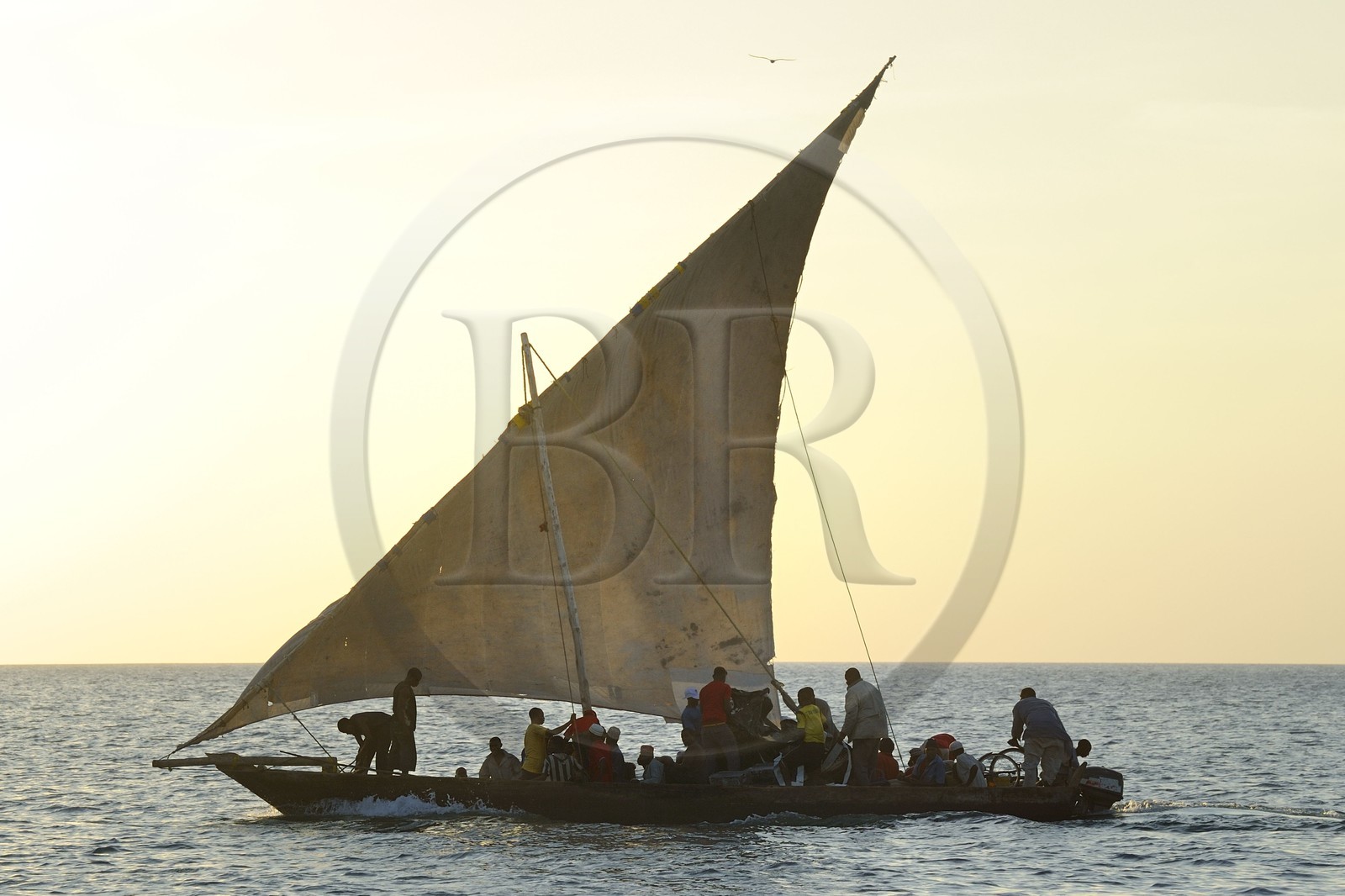 Tanzanie, archipel de Zanzibar, île de Unguja (Zanzibar), côte ouest, un dhow (boutre traditionnel)