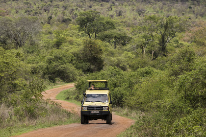 Rwanda, Akagera National Park, four-wheel drive safari on a track
