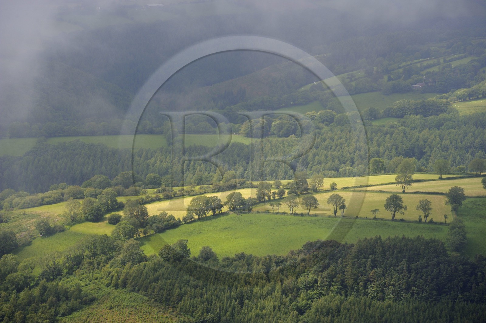 Royaume-Uni, Angleterre, Pays de Galles, forêt et champs dans la region de Brechfa dans le Carmarthenshire (vue aérienne)