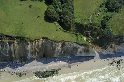 France, Seine-Maritime (76), Pays de Caux, Côte d'Albâtre, Varengeville-sur-Mer, falaises calcaires