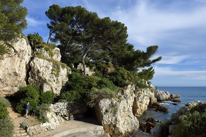 France, Alpes-Maritimes, Antibes, Cap d'Antibes, the path of Cape Coast at l'Anse de l'Argent Faux