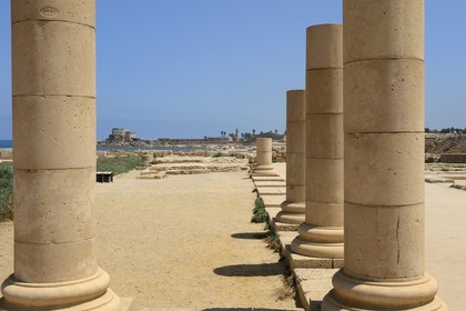 Israel, Haifa District, Caesarea (Caesarea Maritima), ruins of Caesarea, Roman and Byzantine columns of the peristyle courtyard at the Herode the Great Palace