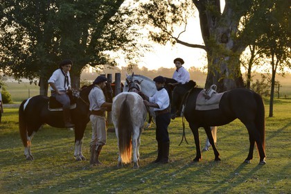 Argentine, province de Buenos Aires, San Antonio de Areco, gauchos dans l'estancia La Bamba de Areco
