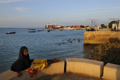 Tanzanie, archipel de Zanzibar, île de Unguja (Zanzibar), ville de Zanzibar, quartier Stone Town, classé Patrimoine Mondial de l' UNESCO, le port de commerce vu depuis les jardins Forodhani