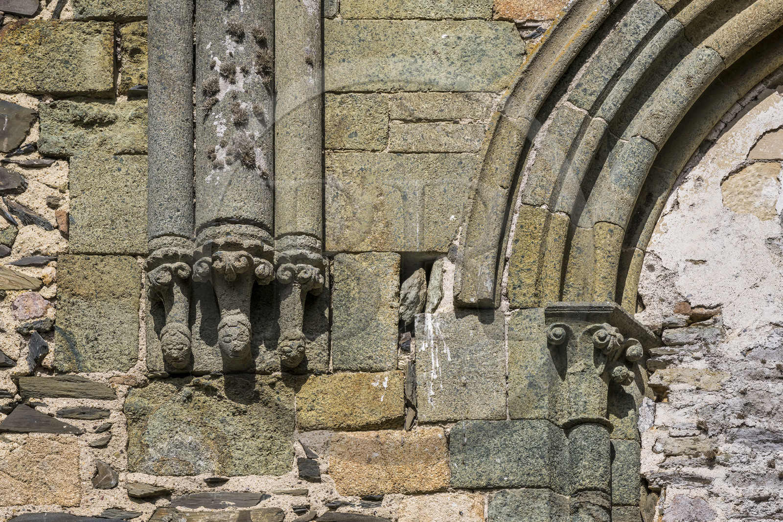 France, Côtes d'Armor (22), Paimpol, abbaye de Beauport du XIIIème siècle, intérieur de l'église abbatiale, sculpture d'un bas de colonne dans le transept