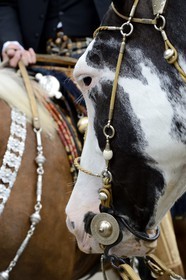 Argentina, Buenos Aires Province, San Antonio de Areco, Tradition Day festival (Dia de Tradicion), braided leather and silver harness
