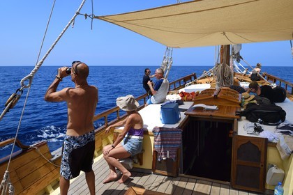 France, Alpes-Maritimes, Saint Jean Cap Ferrat, sea trip on the Santo Sospir boat with the SOS Grand Bleu association for watching dolphins and whales in the Pelagos Sanctuary