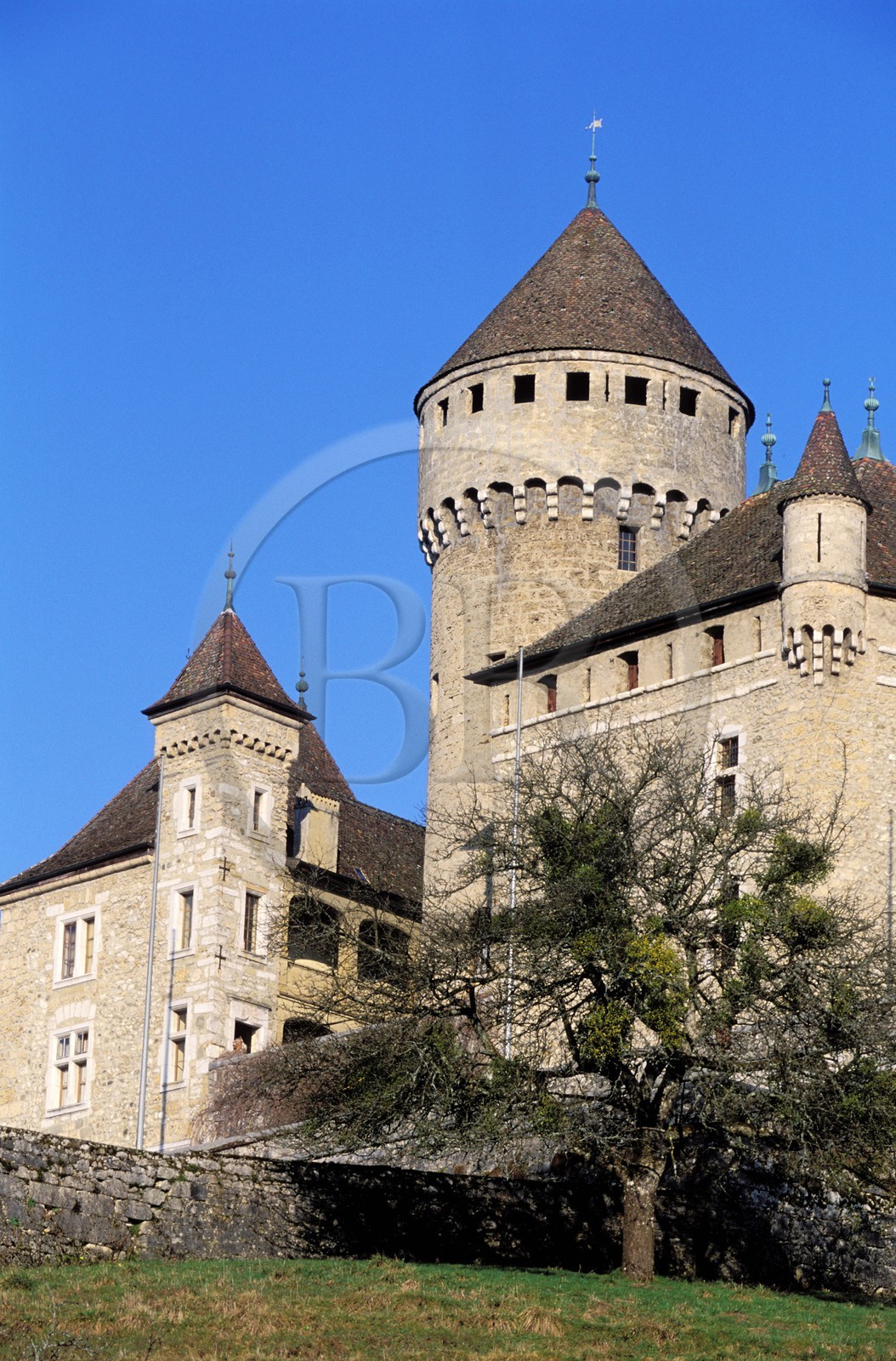 France, Haute-Savoie (74), Lovagny château de Montrottier