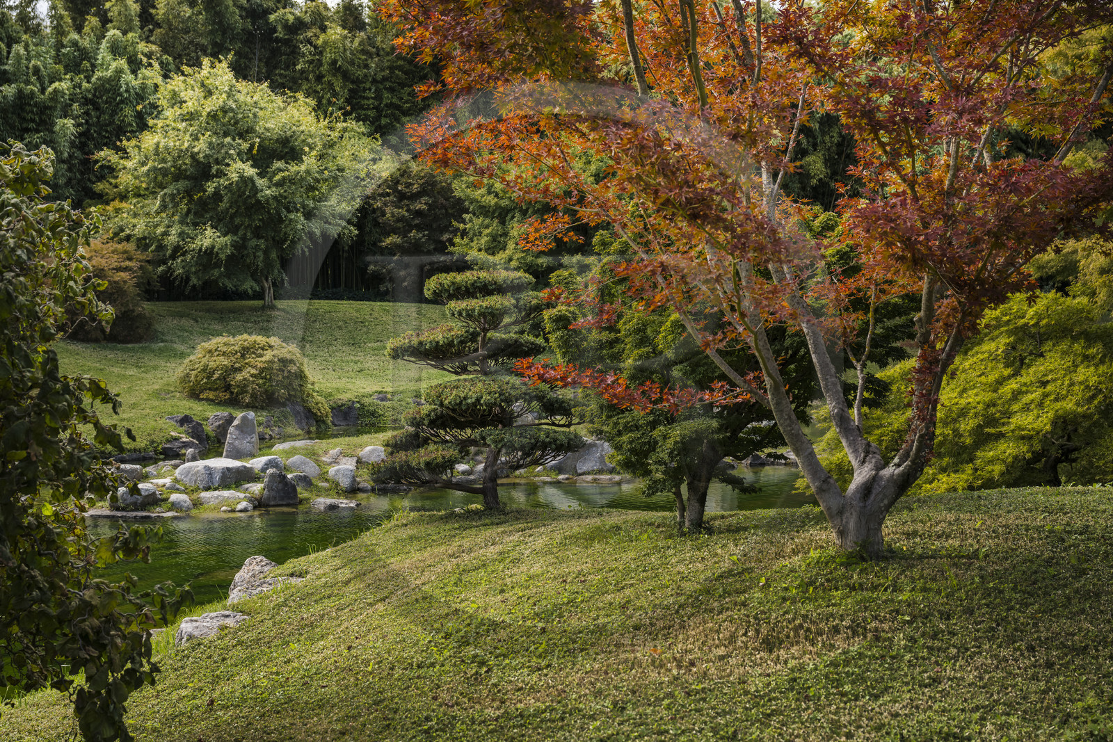 France, Gard (30), Générargues vers Anduze, Bambouseraie en Cévennes, le jardin japonais