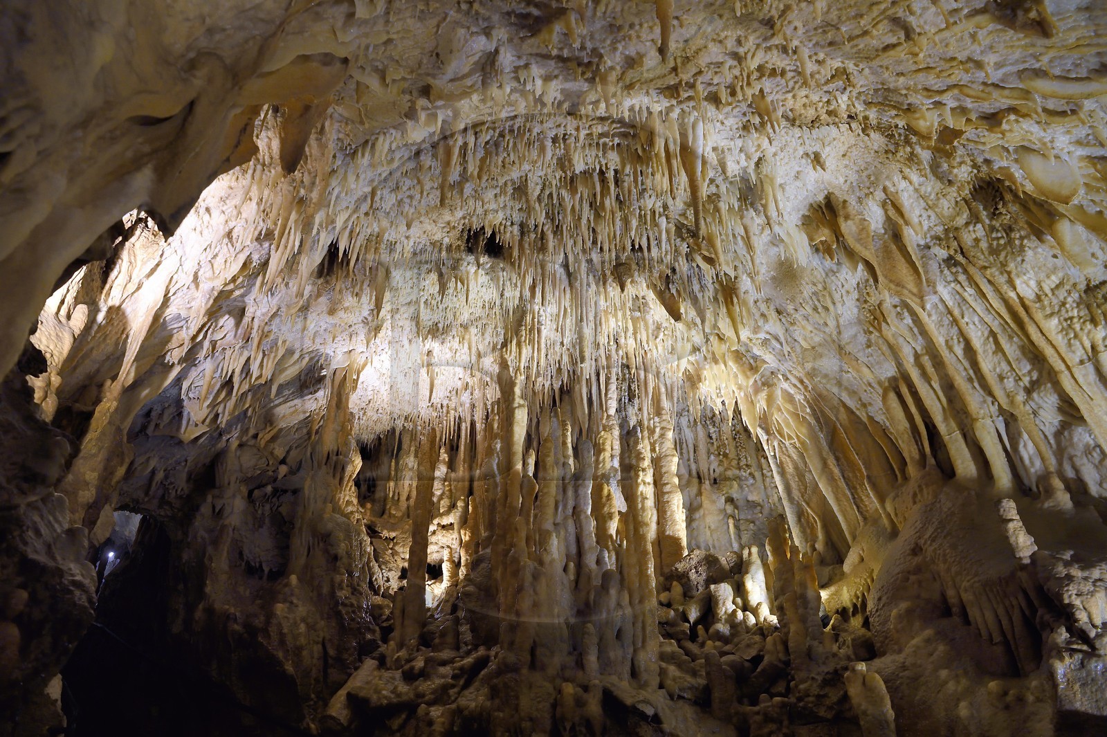 France, Dordogne (24), Périgord Vert, Villars, Grotte de Villars, concrétions dans les grottes