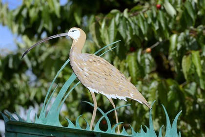France, Bas Rhin, the Ried, Muttersholtz, sign reproducing the Eurasian Curlew (Numenius arquata)