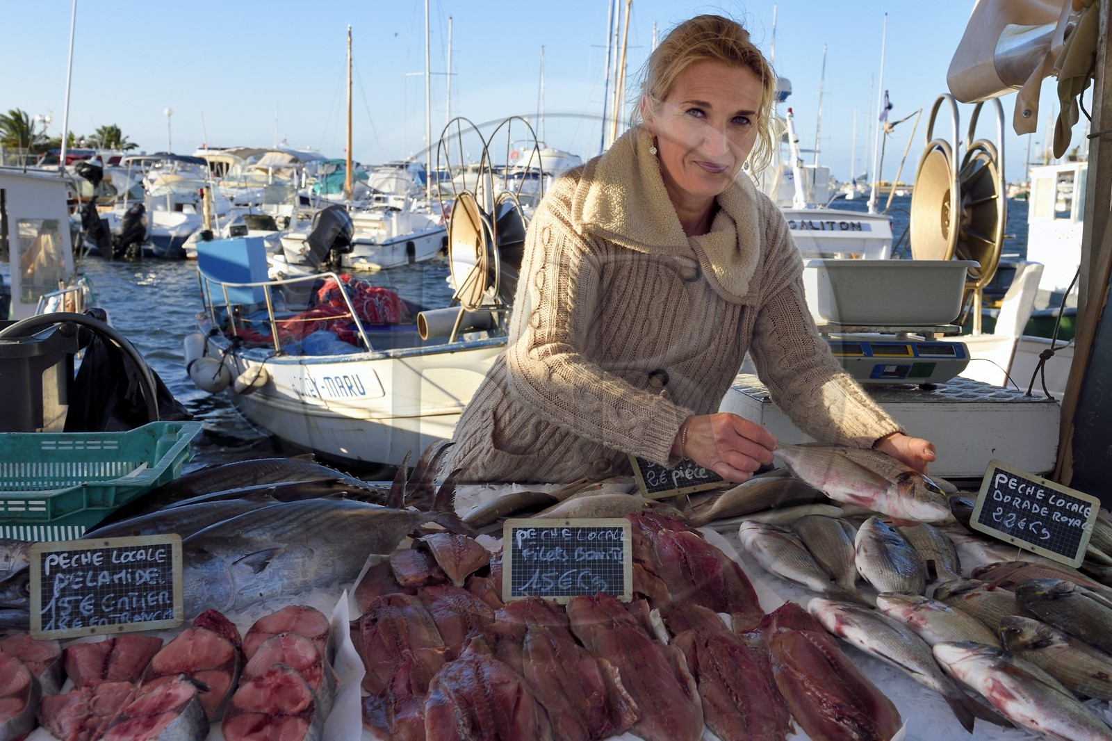 France, Var (83), Sanary-sur-Mer, vente de la pêche du matin sur les quais