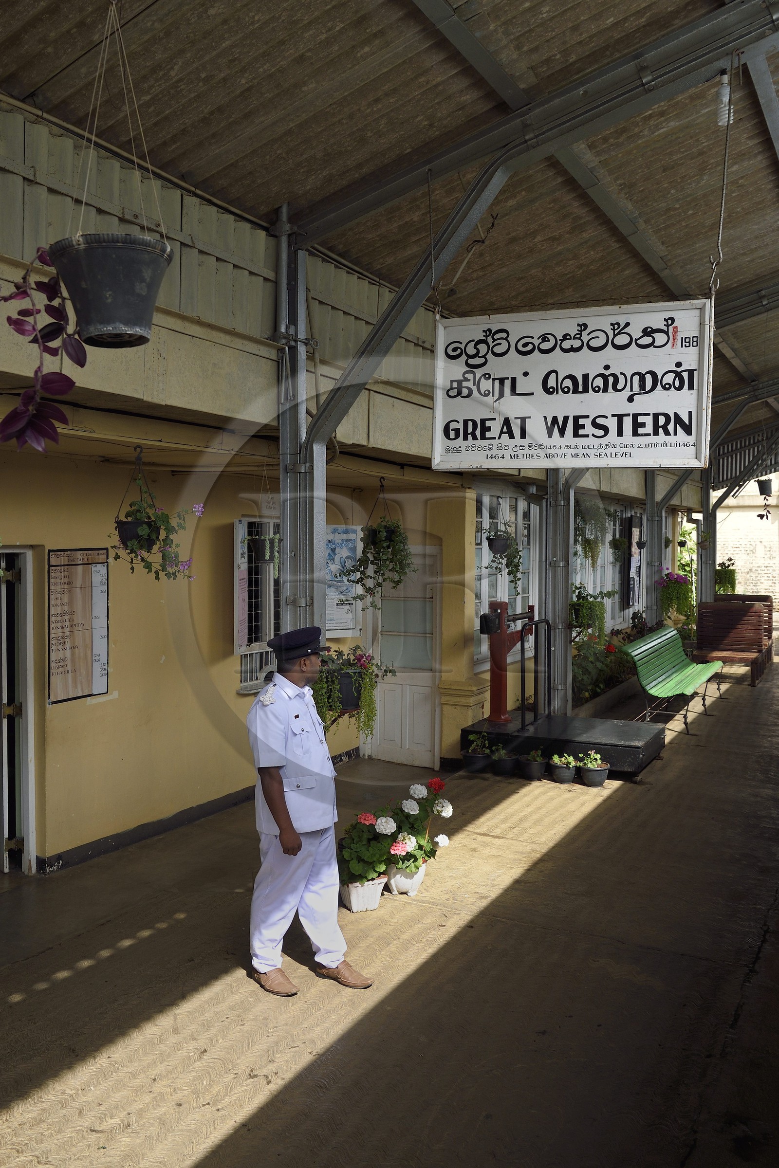 Sri Lanka, Province du Centre, trajet en train dans la région montagneuse de la culture du thé entre Hatton et Ella, chef de gare à la gare de Great Western