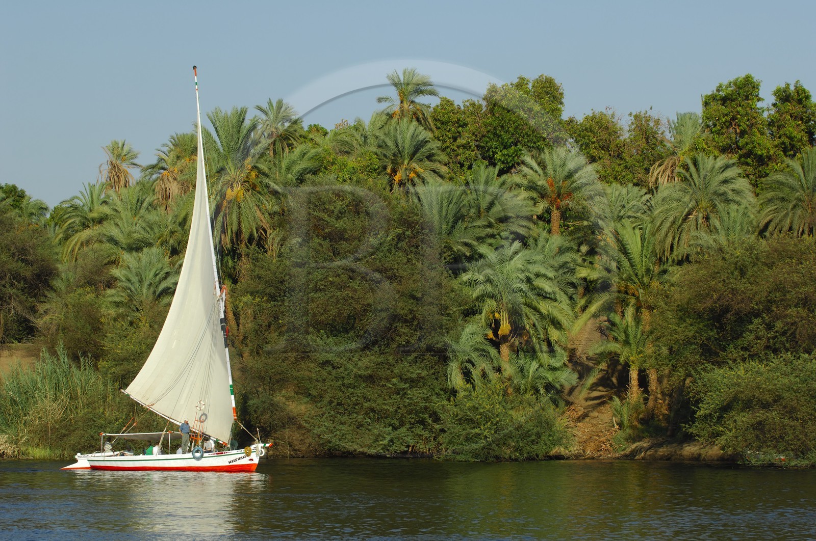 Egypte, Haute Egypte, vallée du Nil, Assouan, felouques sur le Nil autour de l'Ile Eléphantine