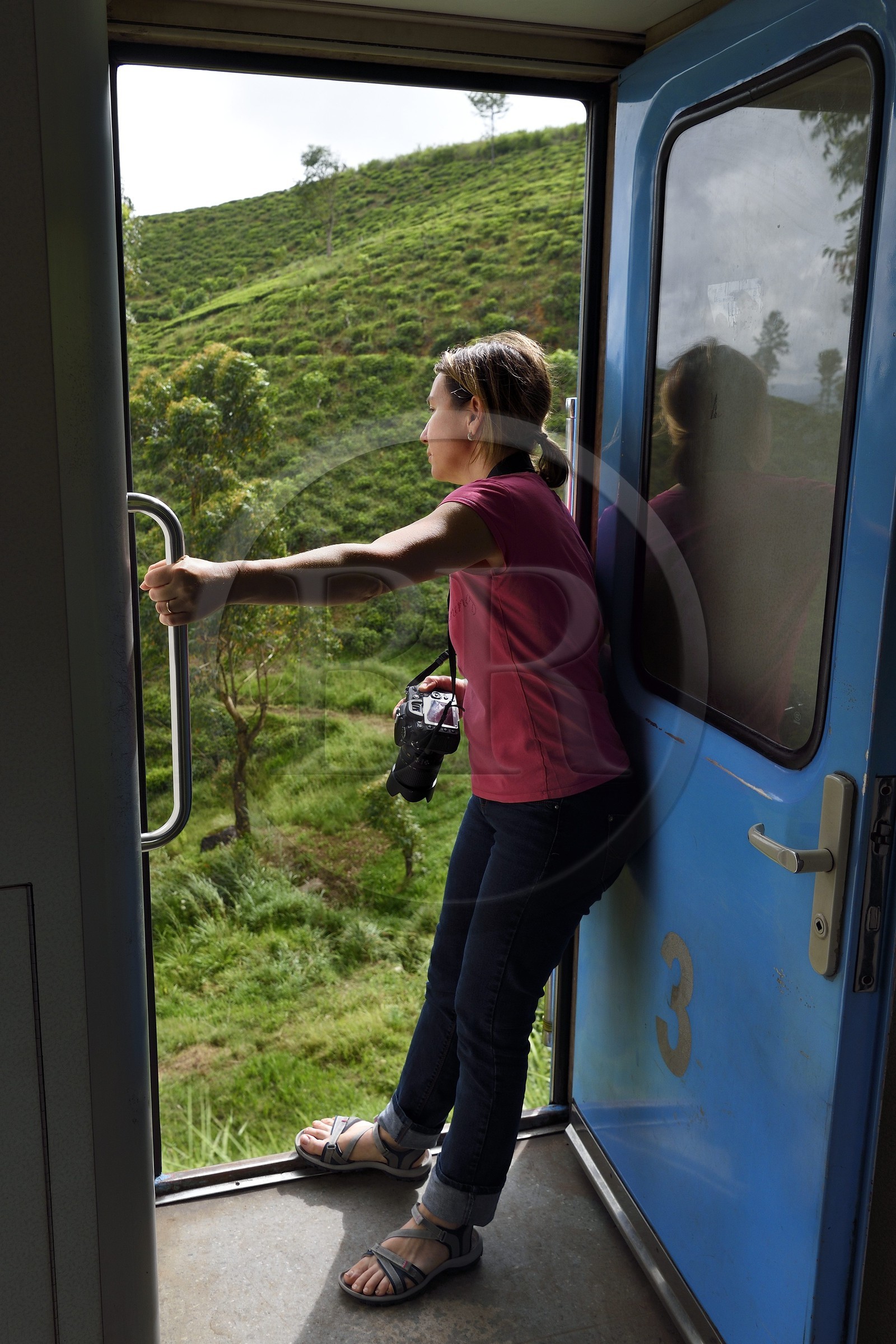 Sri Lanka, Province du Centre, trajet en train dans la région montagneuse de la culture du thé entre Hatton et Ella, plantations de thé, le train roule avec portes ouvertes