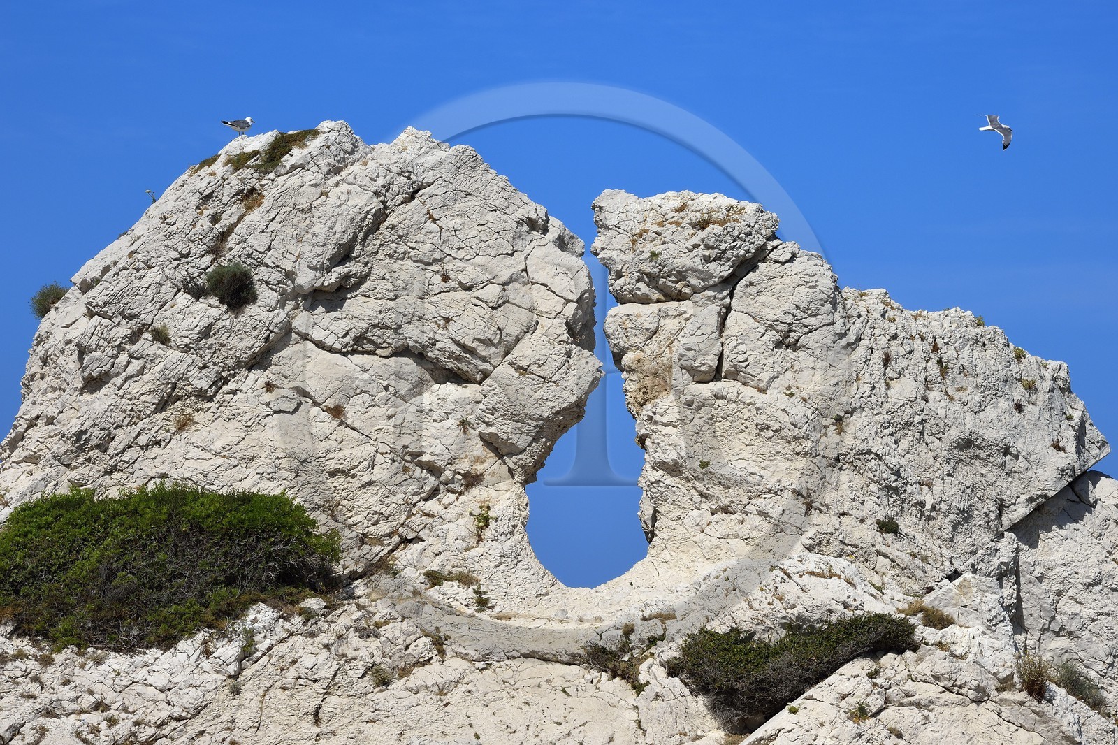 France, Bouches-du-Rhône (13), Marseille, Parc National des Calanques, Archipel des Iles du Frioul, Ile de Pomègues, la roche percée