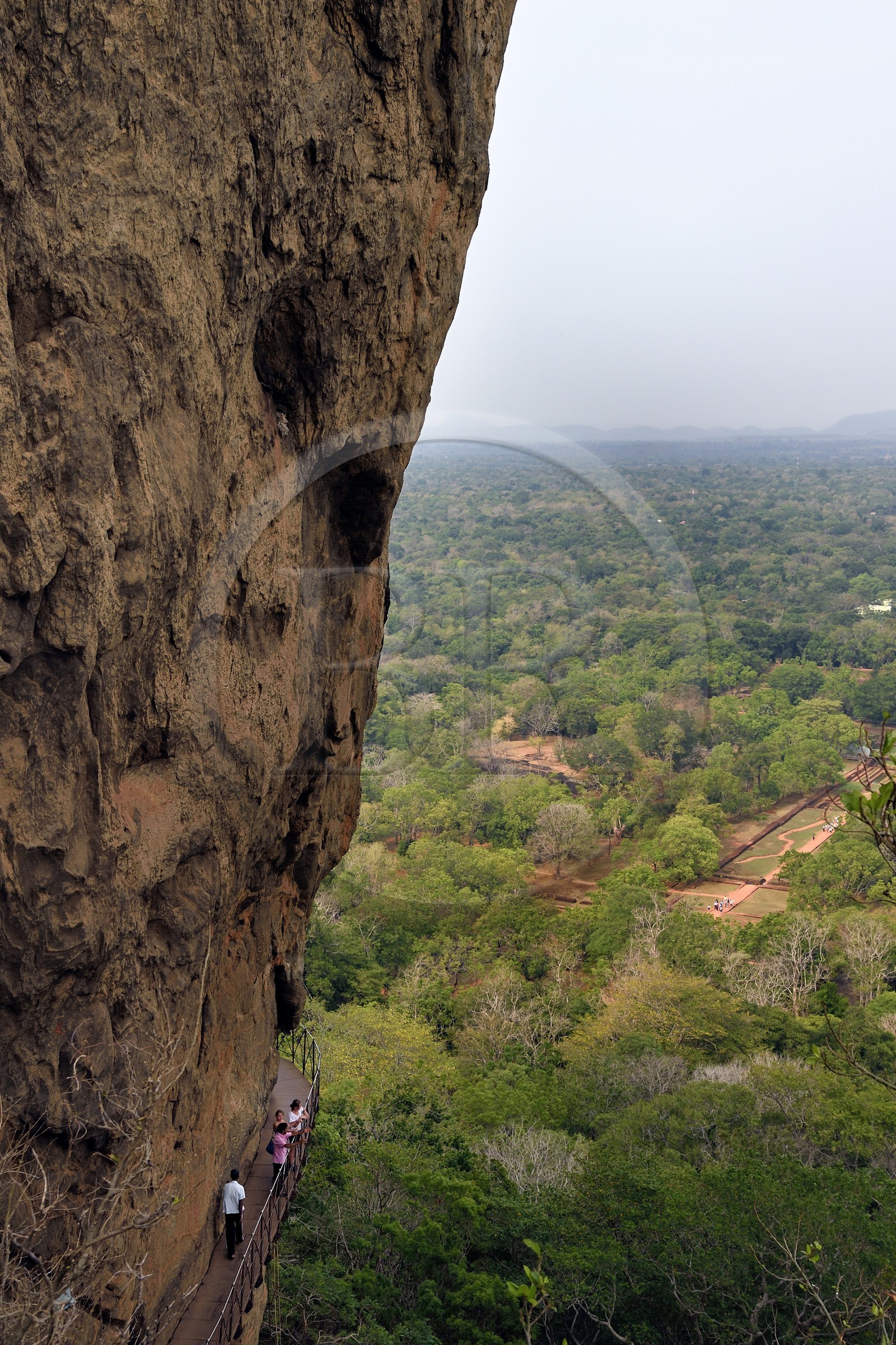 Sri Lanka, province centrale, district de Matale, Sigiriya, ville ancienne de Sigiriya classée patrimoine mondial de l'UNESCO, l'ancien palais forteresse du Rocher du Lion, passerelle accrochée à la falaise du rocher