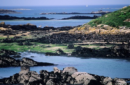 France, Manche (50), îles Chausey