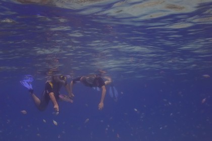 Tanzania, Zanzibar Archipelago, Unguja island (Zanzibar), west coast, nature reserve of  Chumbe Island Coral Park