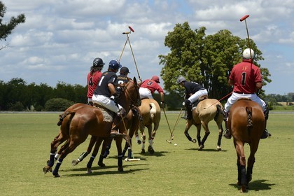 Argentine, province de Buenos Aires, San Antonio de Areco, estancia La Bamba de Areco, match de polo