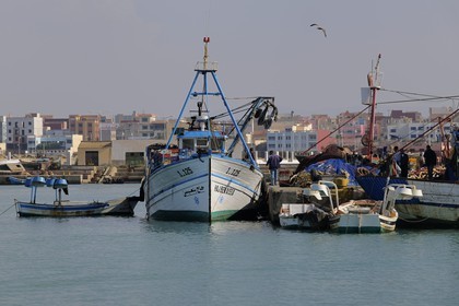 Maroc, région de l'Oriental, le port de pêche et plaisance de Ras Kebdana (Cap de l'Eau ou Cabo de Agua)