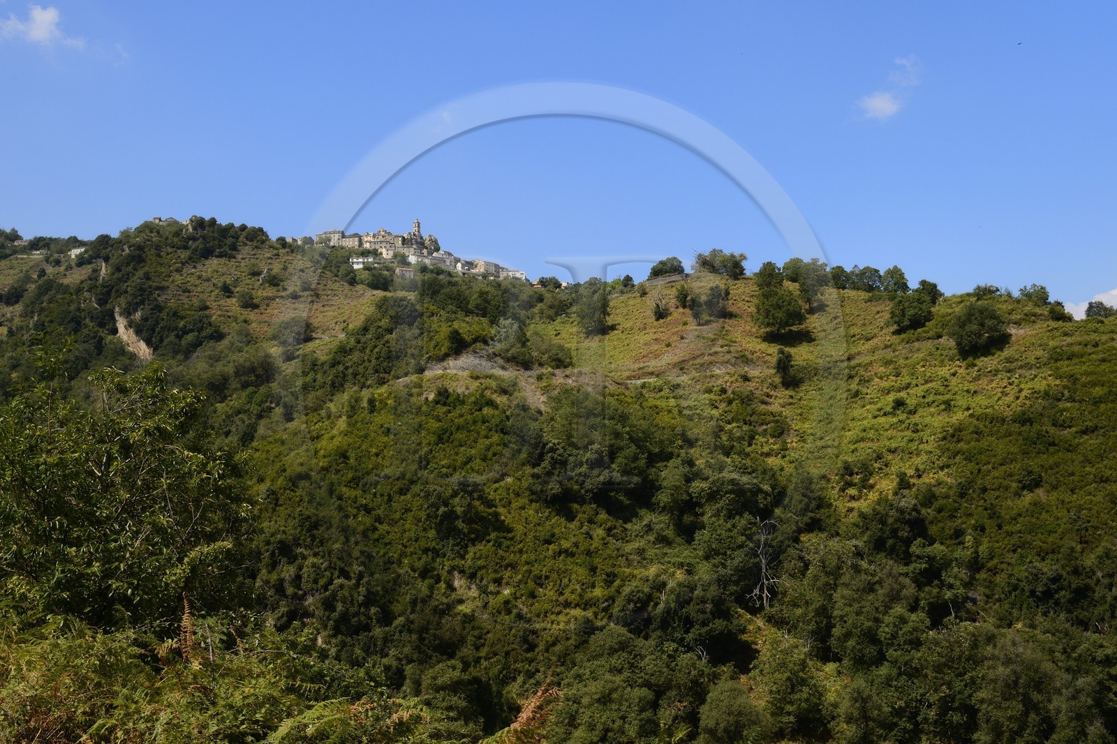 France, Haute-Corse (2B), région de la Casinca en Castagniccia, village perché de Loreto di Casinca