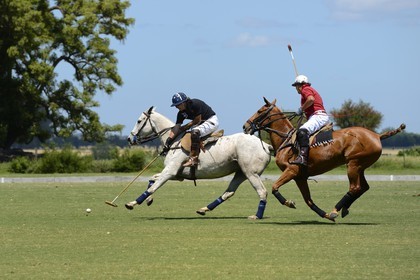 Argentine, province de Buenos Aires, San Antonio de Areco, estancia La Bamba de Areco, match de polo