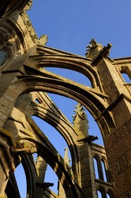 France, Manche, the abbey of Mont Saint Michel, listed as World Heritage by UNESCO, the gargoyles of the church on the Flying buttress