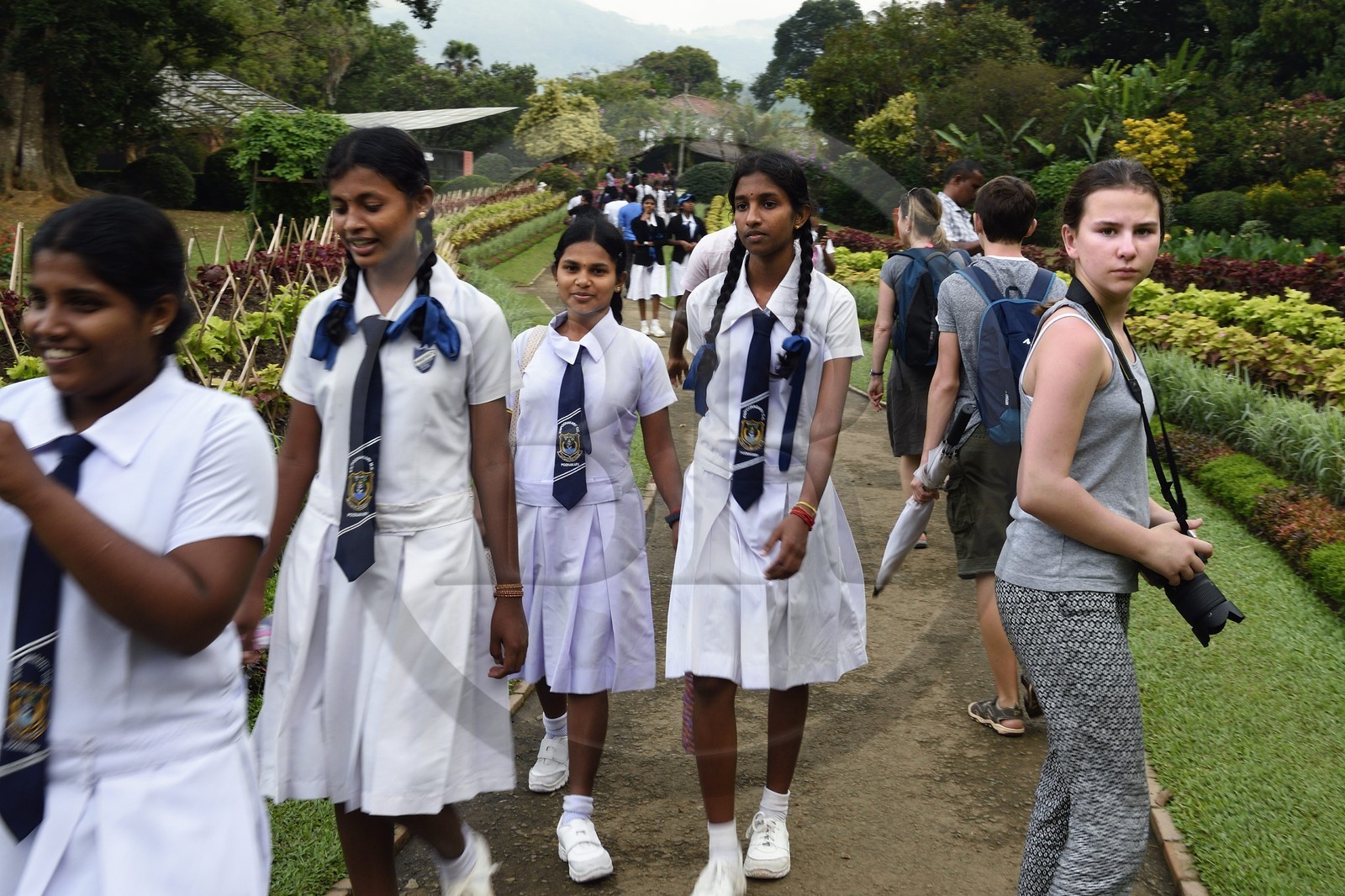 Sri Lanka, province du centre, Kandy, jardin botanique de Peradeniya, sortie scolaire de jeunes filles et touriste
