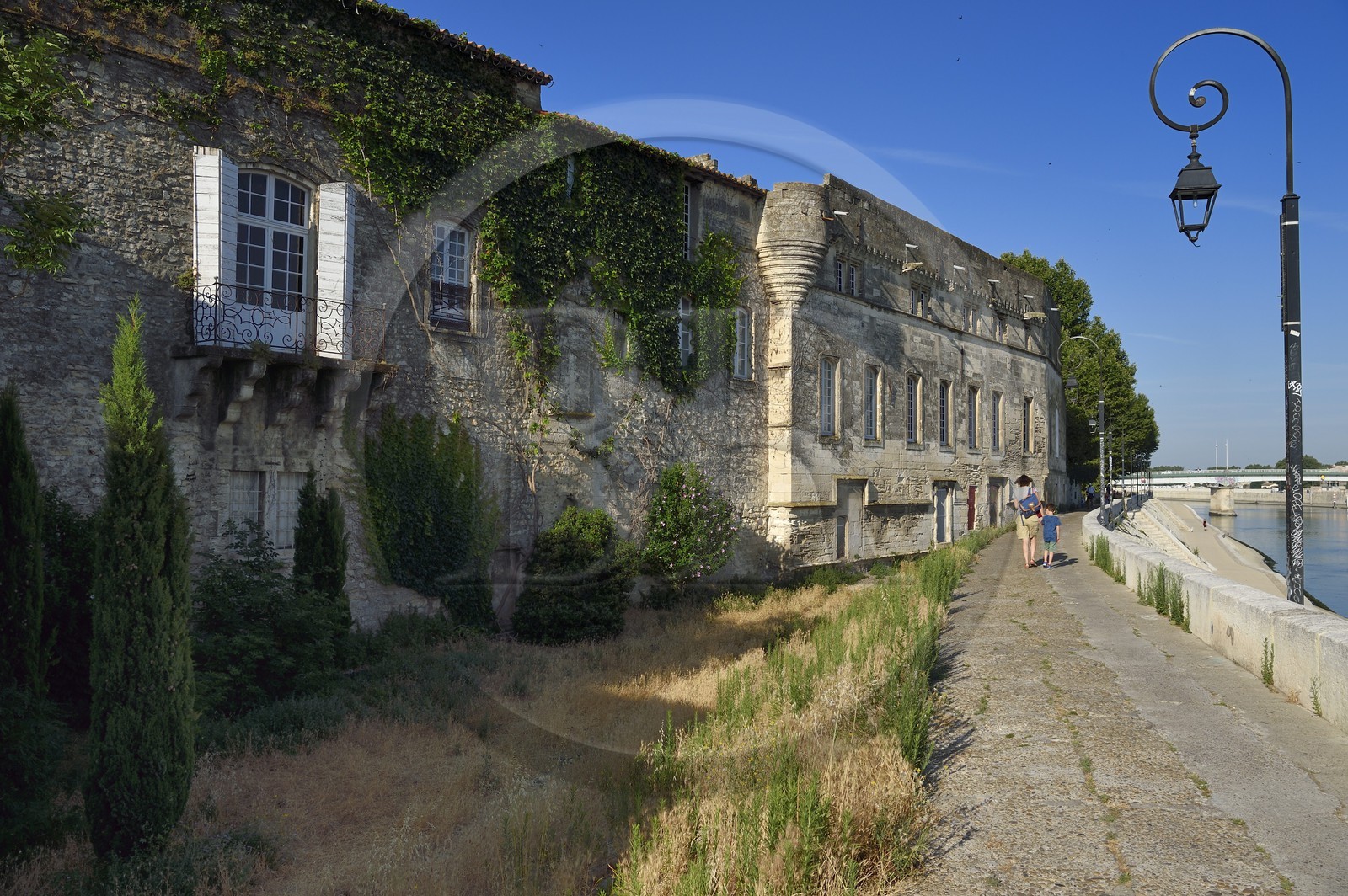 France, Bouches-du-Rhône (13), Arles, le Musée Réattu (Mention Obligatoire) sur le quai Marx Dormoy et le Rhône
