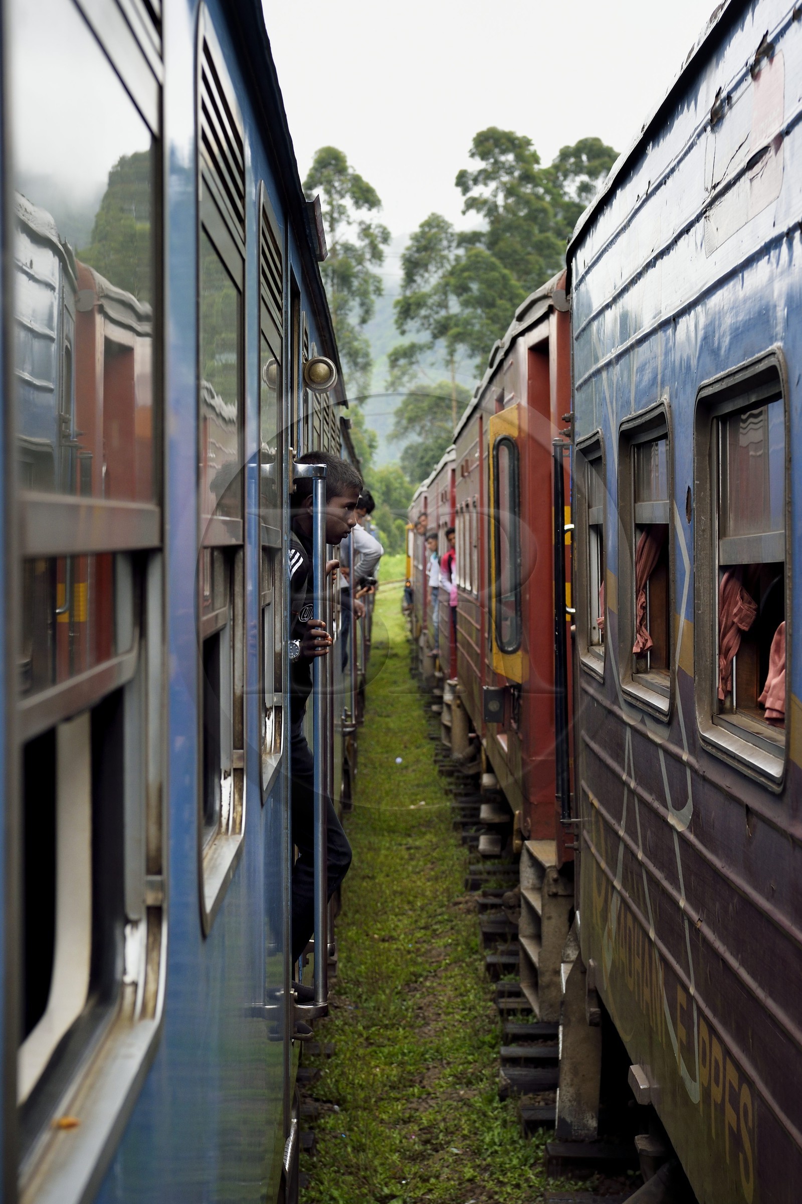 Sri Lanka, Province du Centre, trajet en train dans la région montagneuse de la culture du thé entre Hatton et Ella, gare de Watagoda, croisement de train