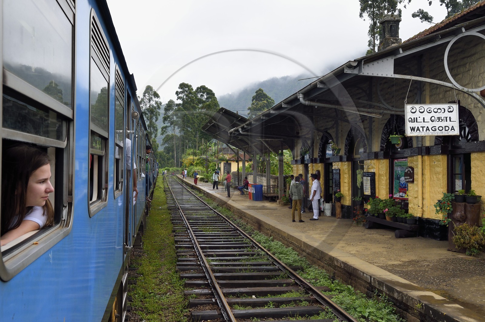 Sri Lanka, Province du Centre, trajet en train dans la région montagneuse de la culture du thé entre Hatton et Ella, gare de Watagoda
