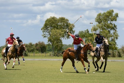 Argentine, province de Buenos Aires, San Antonio de Areco, estancia La Bamba de Areco, match de polo