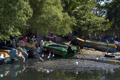Sri Lanka, Western Province, Negombo, fishermen sorting their nets