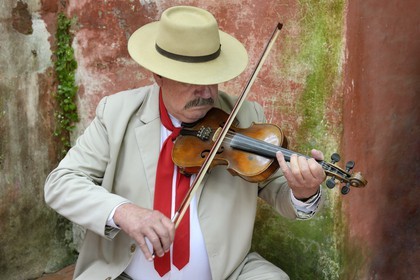 Argentina, Buenos Aires Province, San Antonio de Areco, Tradition Day festival (Dia de Tradicion), violinist
