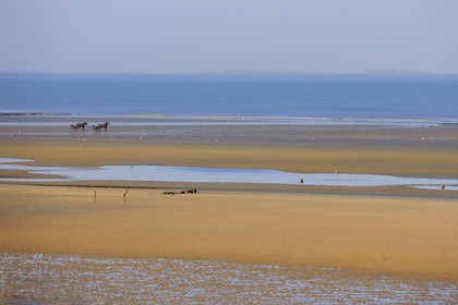 France, Manche (50), Cotentin, Sainte-Marie-du-Mont, Utah Beach où prit place le principal débarquement americain le 6 juin 1944, attelage de course de trot sur la plage à marée basse