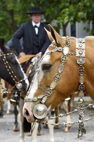Argentina, Buenos Aires Province, San Antonio de Areco, Tradition Day festival (Dia de Tradicion), silversmith work on a silver harness used for special occasions by an estanciero (gaucho who owns a ranch)