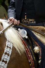 Argentina, Buenos Aires Province, San Antonio de Areco, Tradition Day festival (Dia de Tradicion), detail of the saddlery and bolas (or boleadoras)